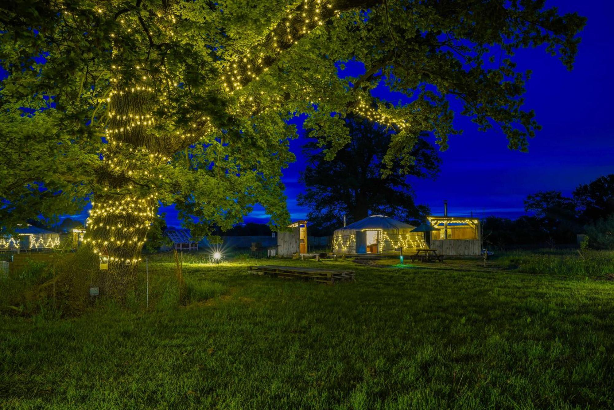 Готель Glamp And Tipple Ltd Great Ellingham Екстер'єр фото